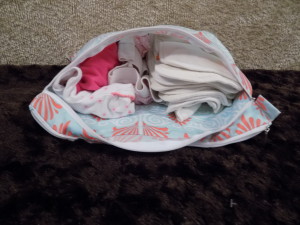 onsie, pair of pants, cloth diaper and 4 inserts in the dry compartment
